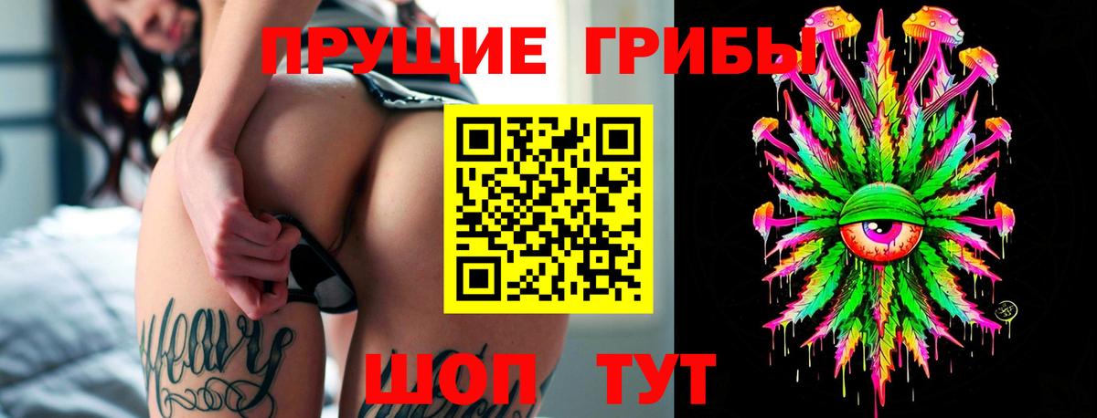 Новотроицк  Псилоцибиновые грибы Cubensis  Вход с VPN 