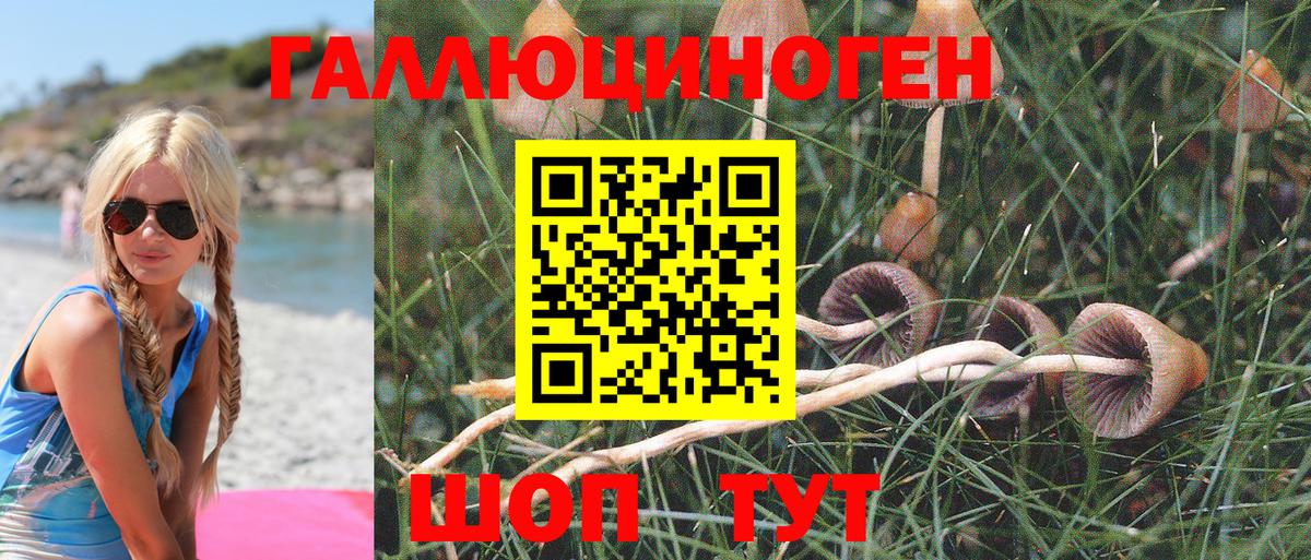 Галлюциногенные грибы мухоморы Новотроицк